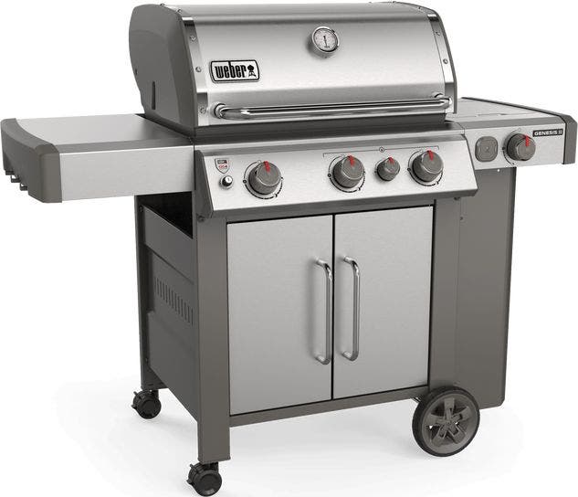 Weber 61006001 Stainless Steel, Liquid Propane