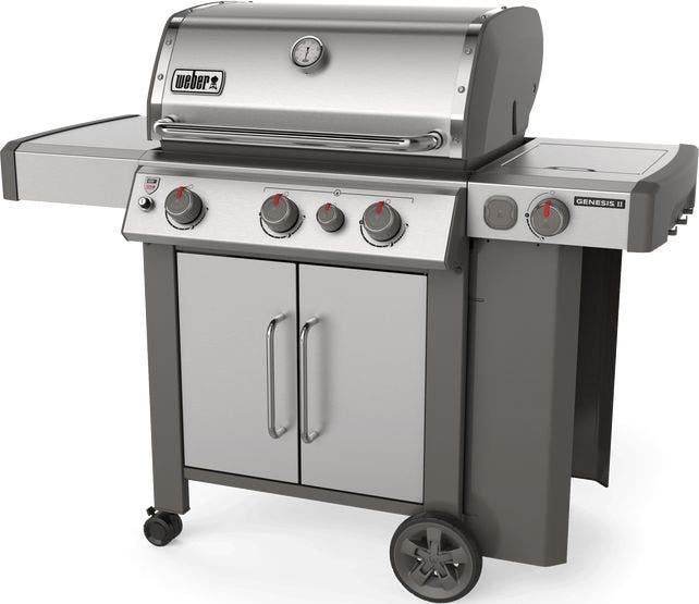 Weber 61006001 Stainless Steel, Liquid Propane