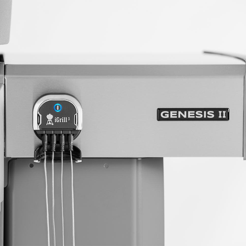 Weber 61006001 Stainless Steel, Liquid Propane