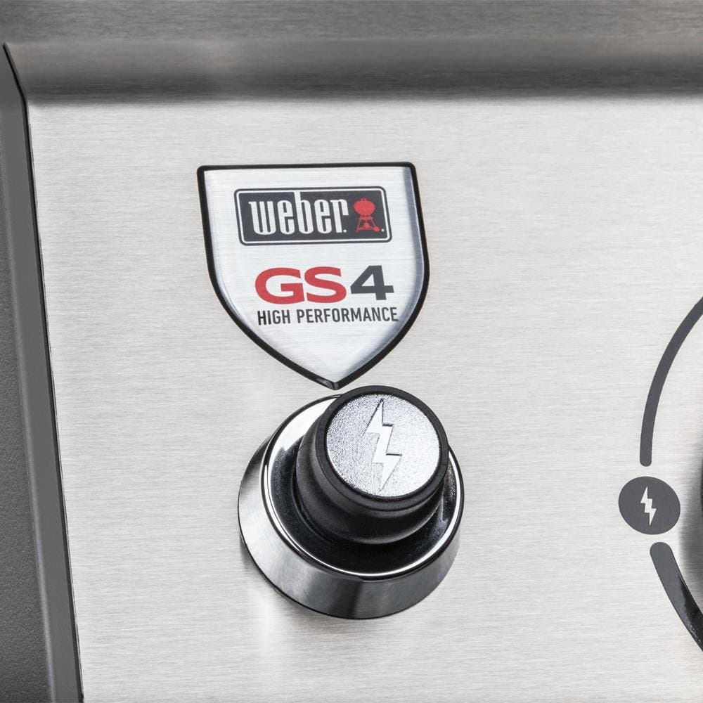 Weber 61006001 Stainless Steel, Liquid Propane