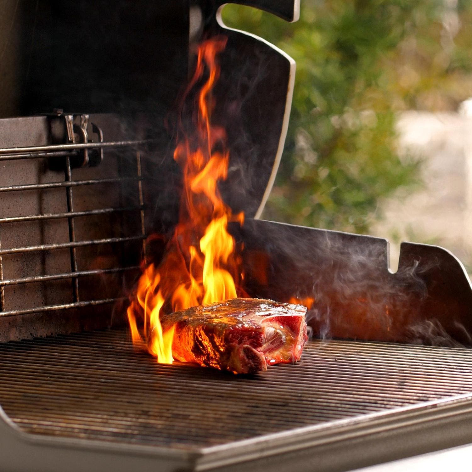 Weber 61012201 Black, Liquid Propane