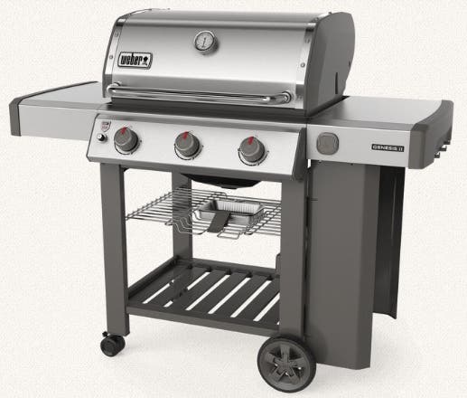 Weber 61001001