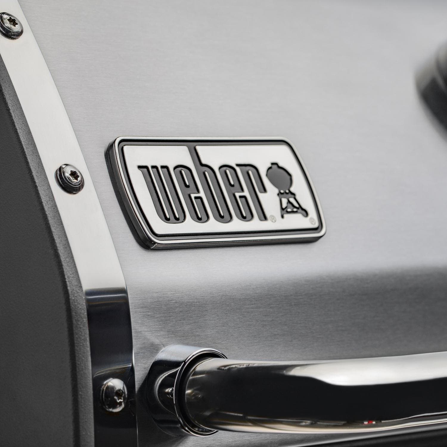 Weber 61001001
