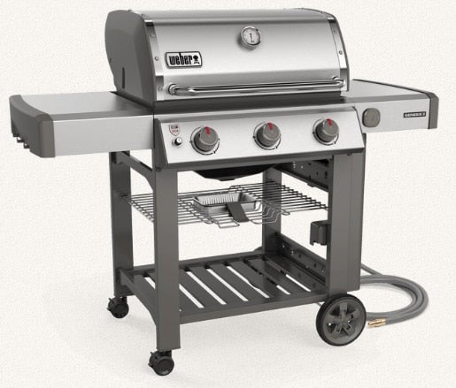 Weber 66001001