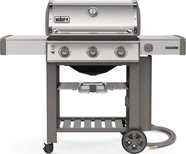 Weber 66001001