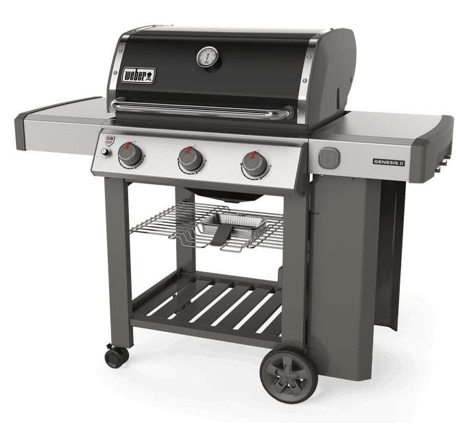 Weber 61011001 Black, Liquid Propane