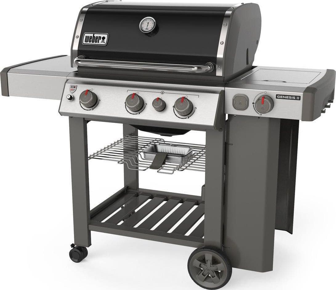 Weber 61012001 Black, Liquid Propane