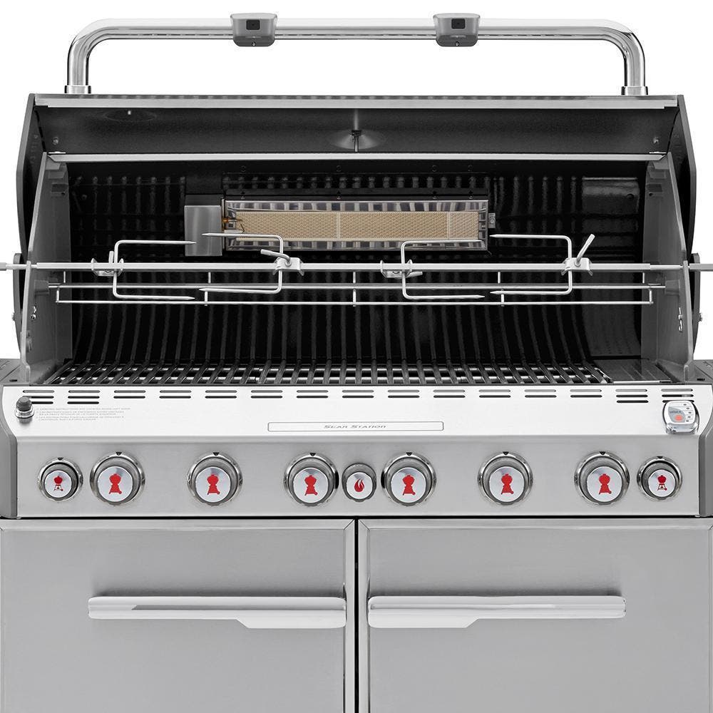 Weber 291001 Stainless Steel, Liquid Propane