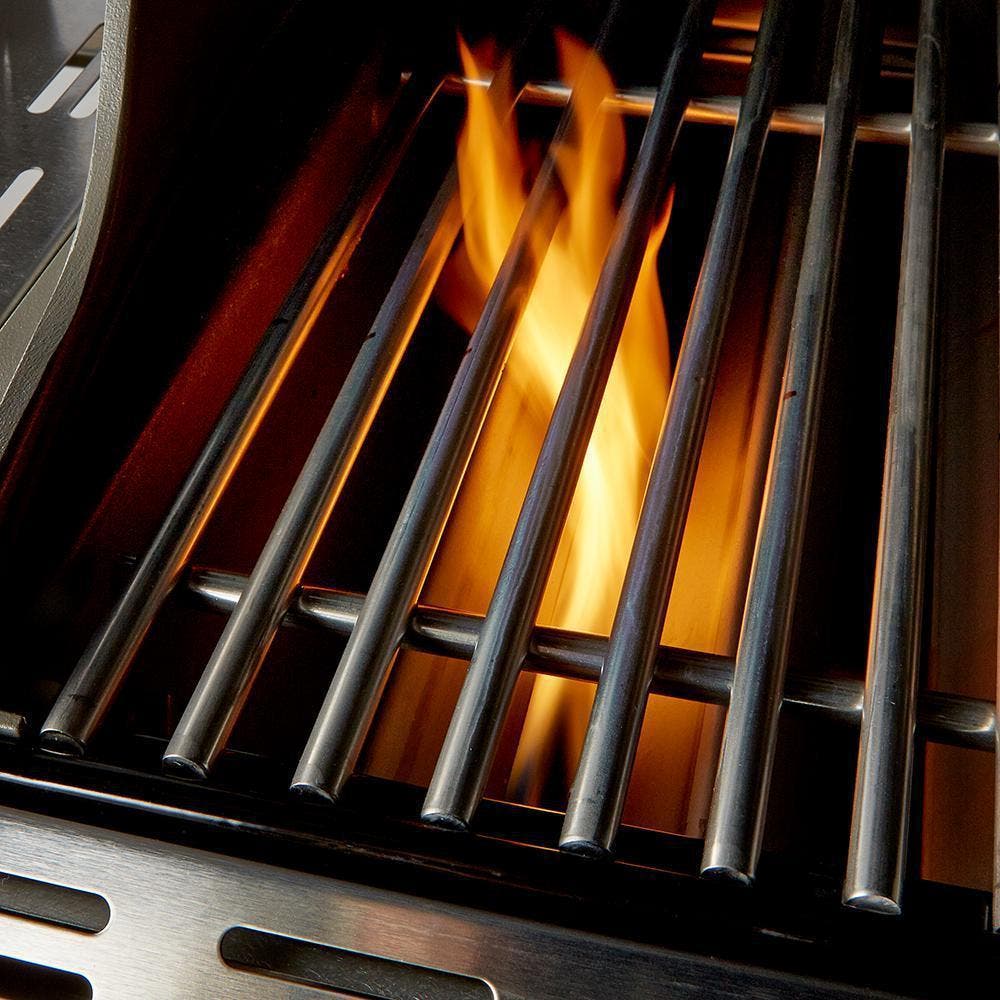 Weber 291001 Stainless Steel, Liquid Propane