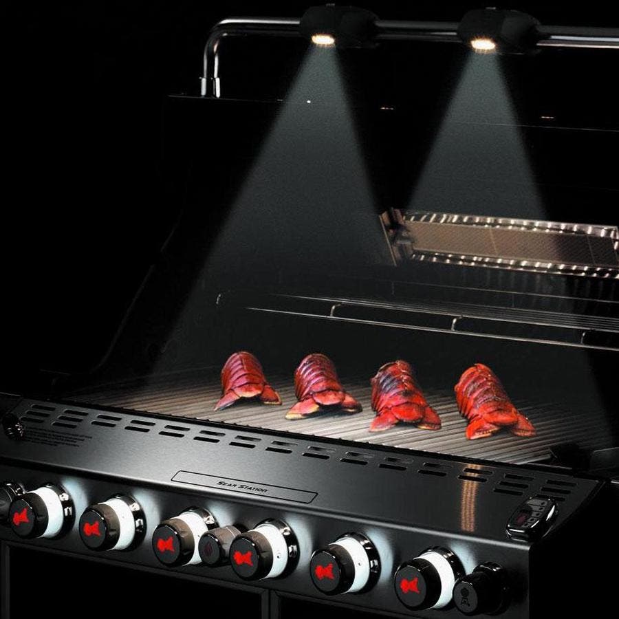 Weber 291001 Stainless Steel, Liquid Propane
