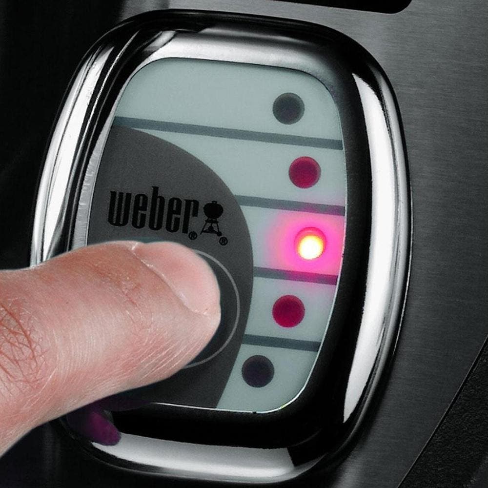 Weber 291001 Stainless Steel, Liquid Propane