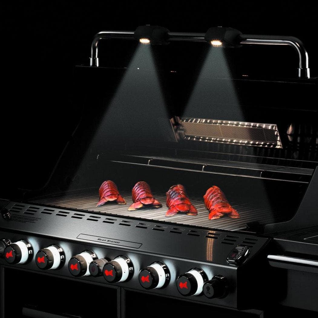 Weber 7370001 Stainless Steel, Liquid Propane