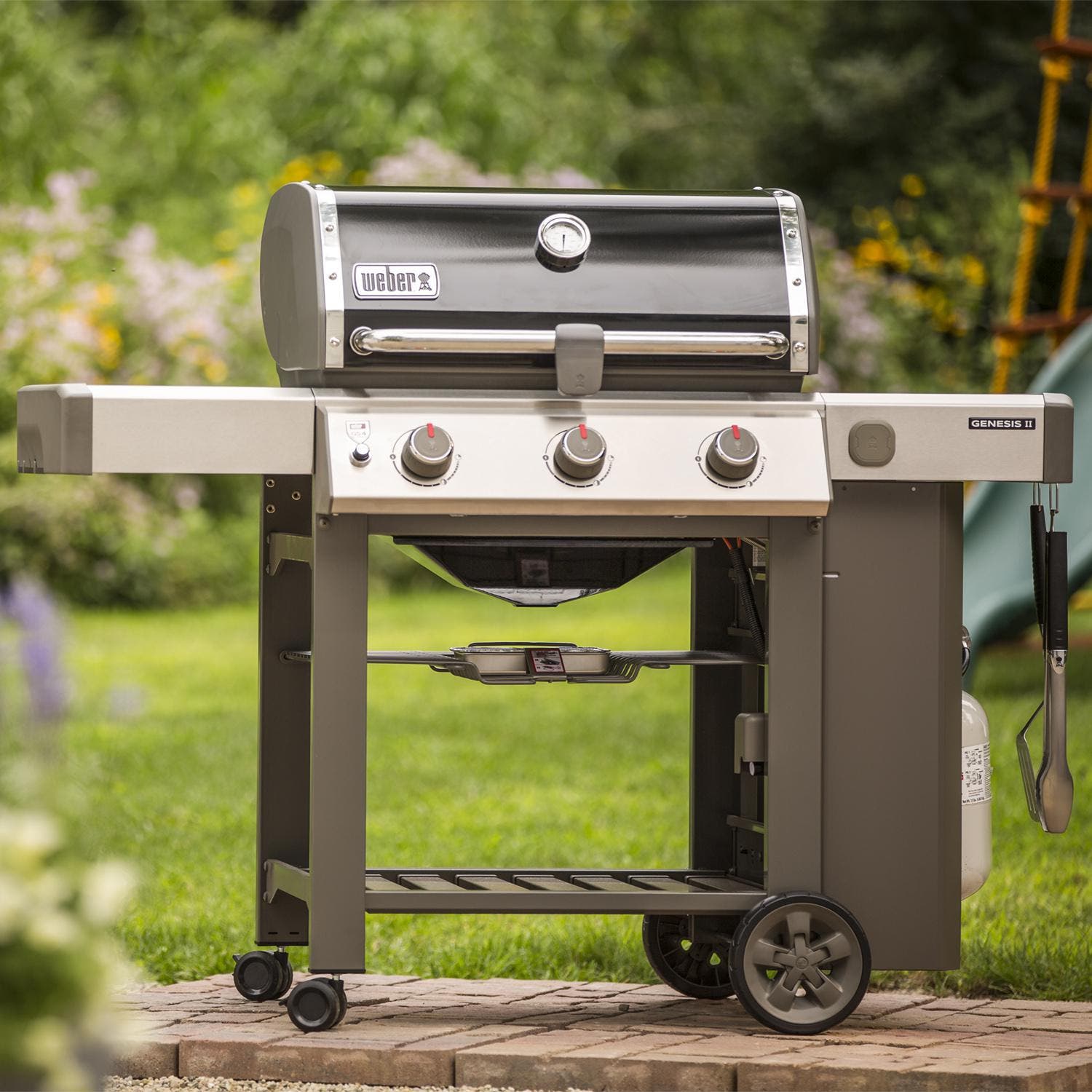 Weber 61011201 Black, Liquid Propane