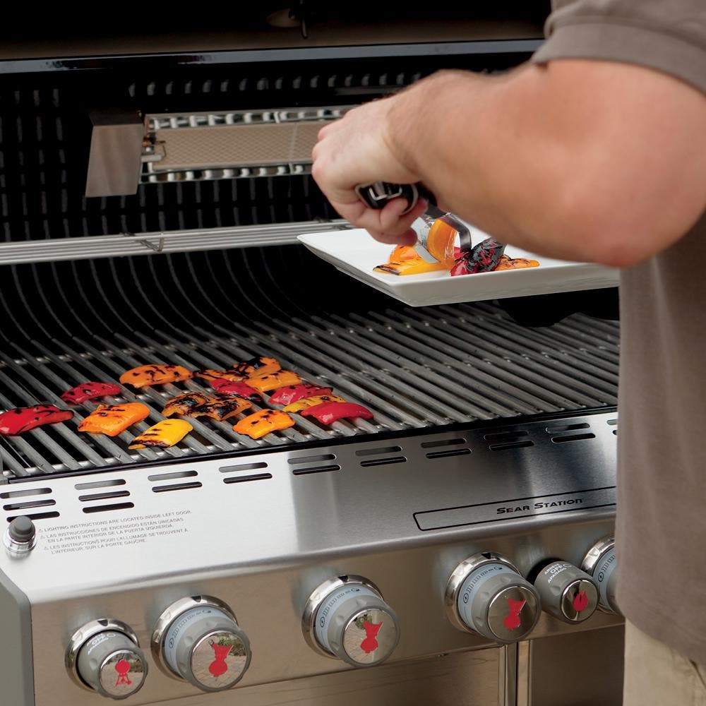Weber 7160001 Stainless Steel, Liquid Propane