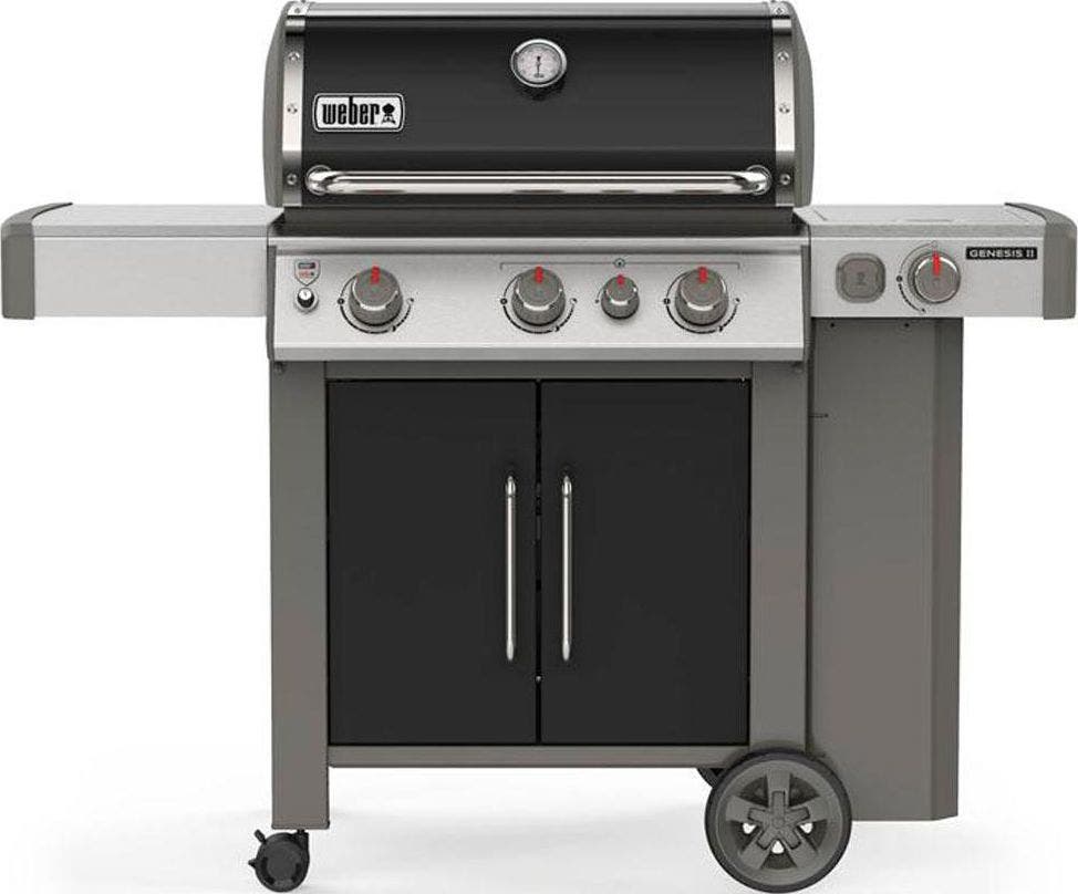 Weber 61016001 Black, Liquid Propane