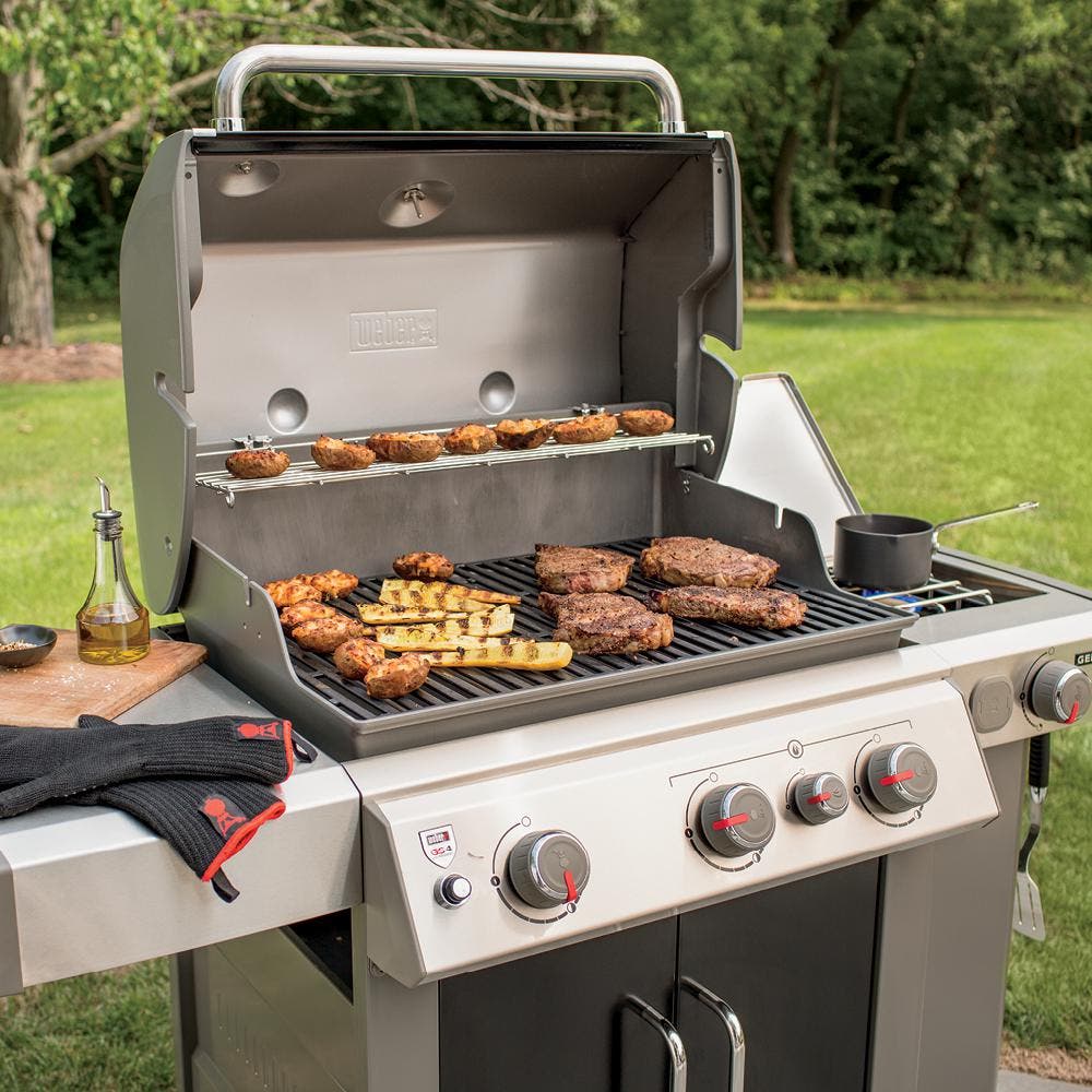 Weber 61016001 Black, Liquid Propane