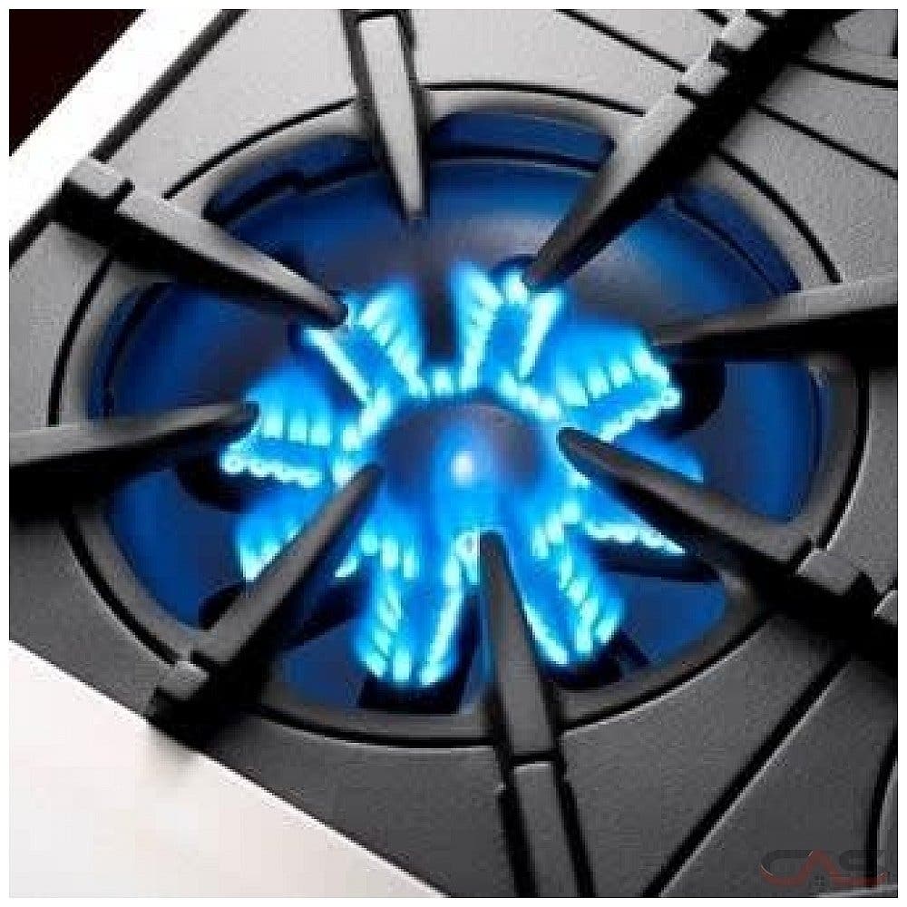 Bluestar RNB364GPMV2L Stainless Steel, Liquid Propane