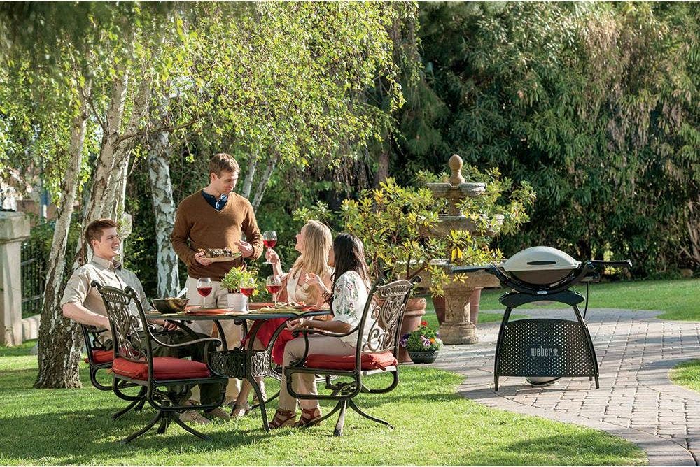 Weber 53060001 Titanium, Liquid Propane