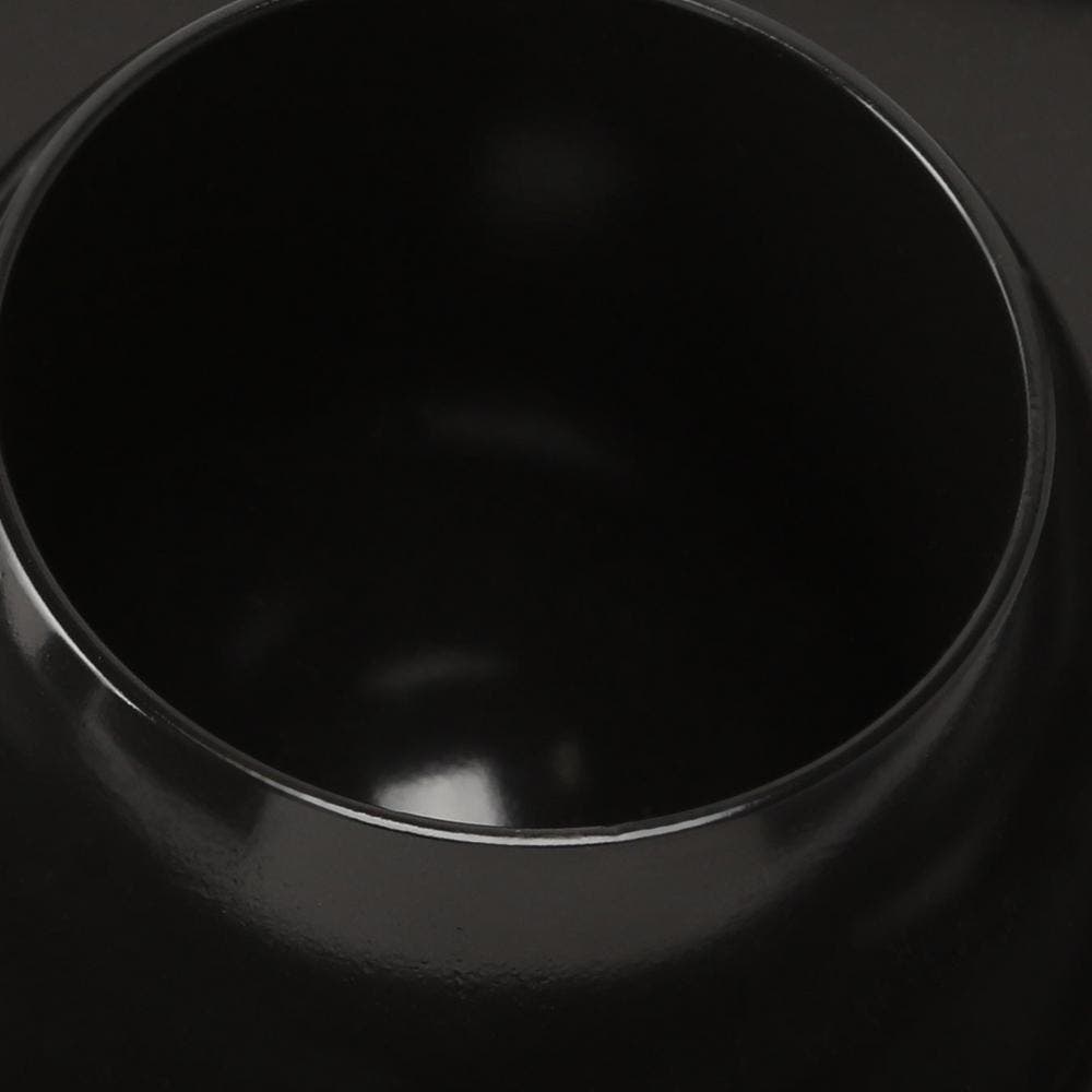 Weber 6731 