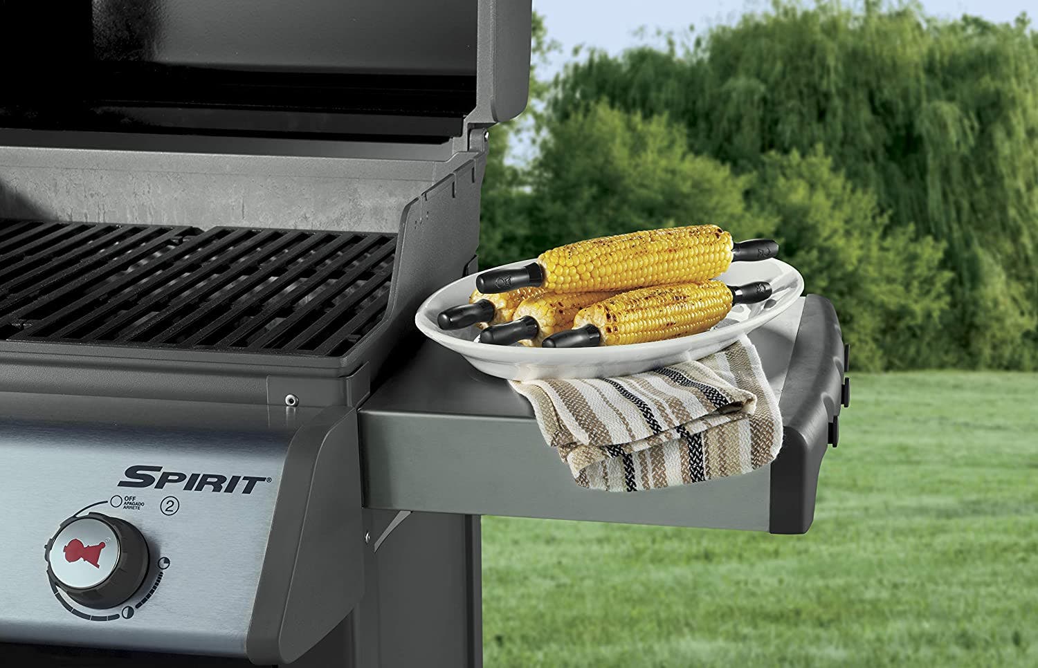 Weber 6489 Black and Stainless Steel