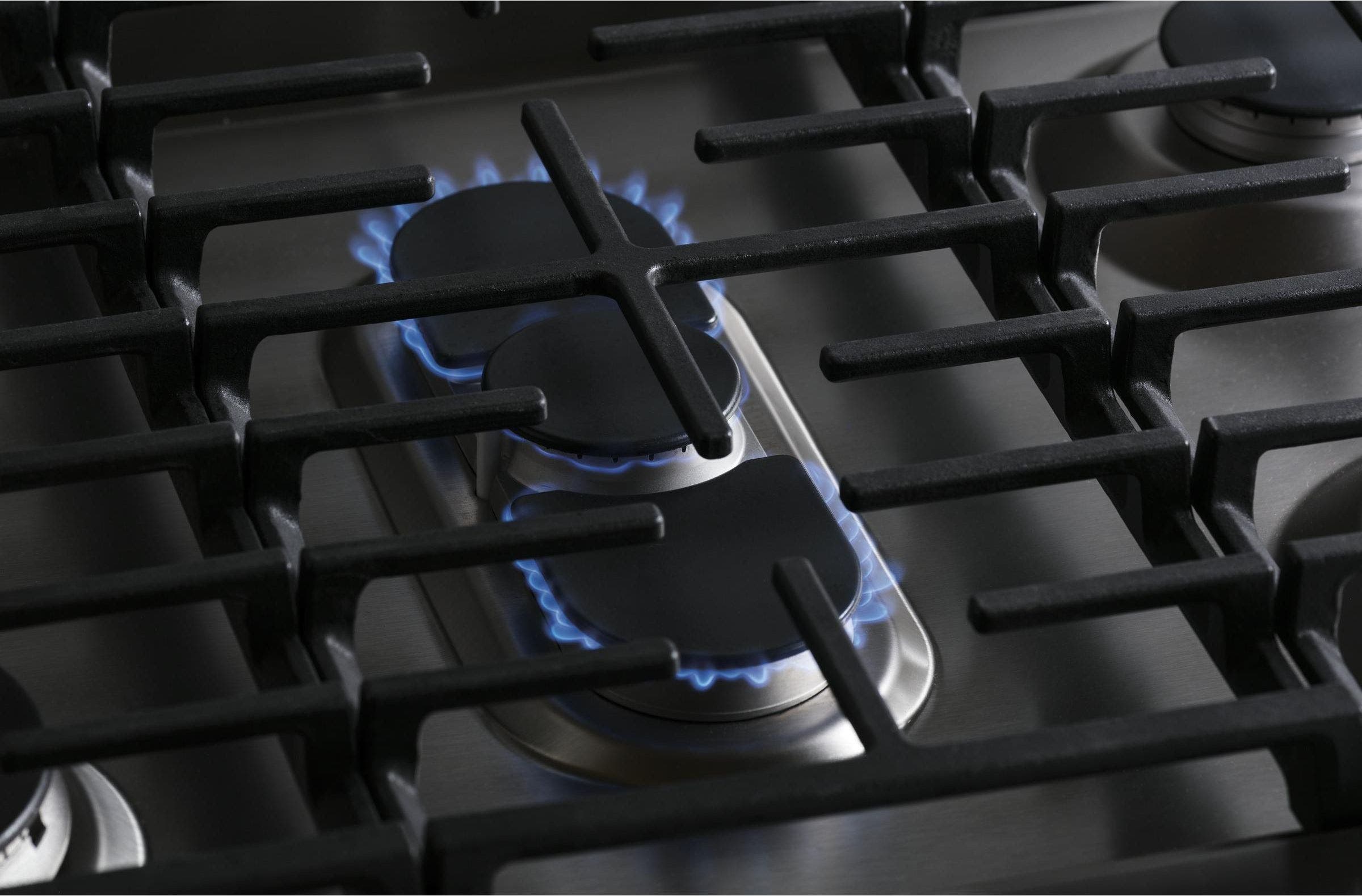 GE PGS960SELSS Stainless Steel