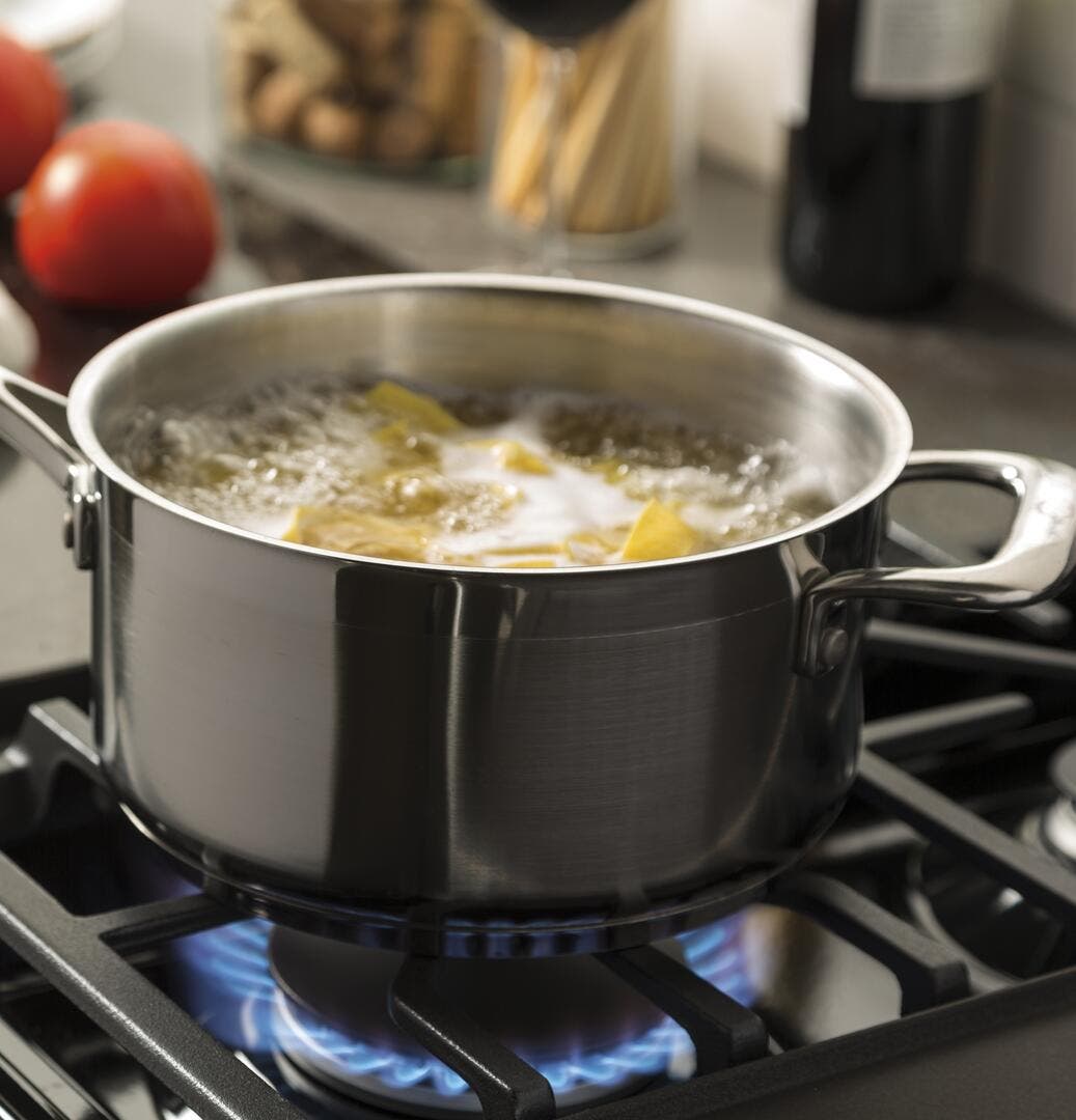 GE JGB860EEJES Slate