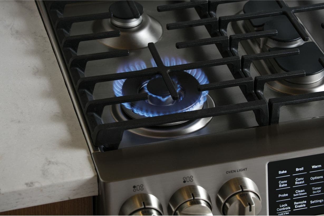 GE P2S930SELSS Stainless Steel