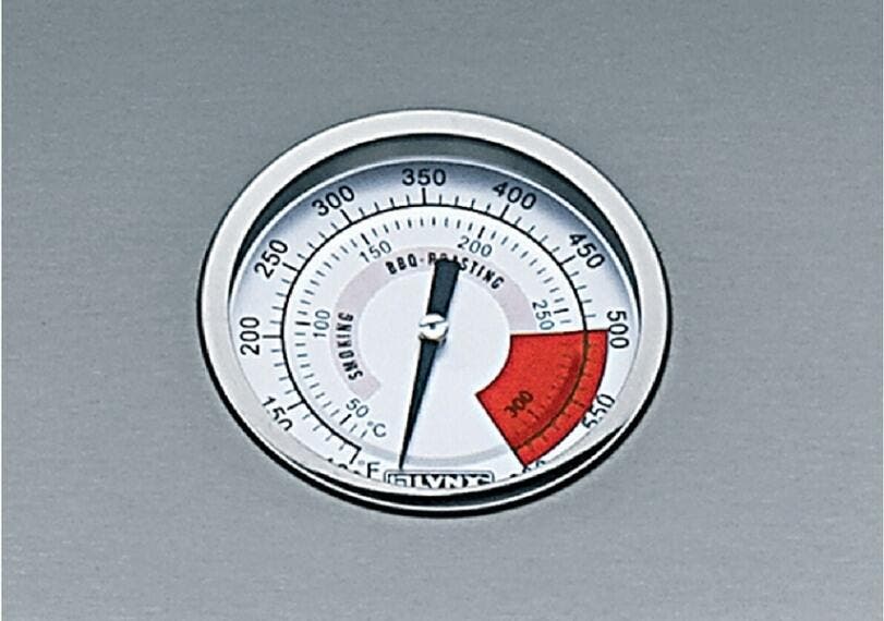 Lynx L600PSRNG Stainless Steel with Natural Gas