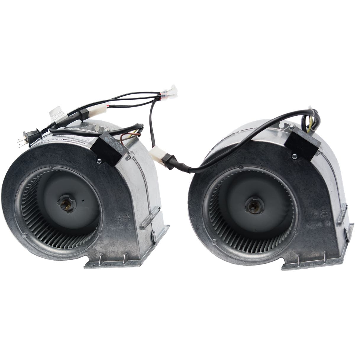 Wolf 829155