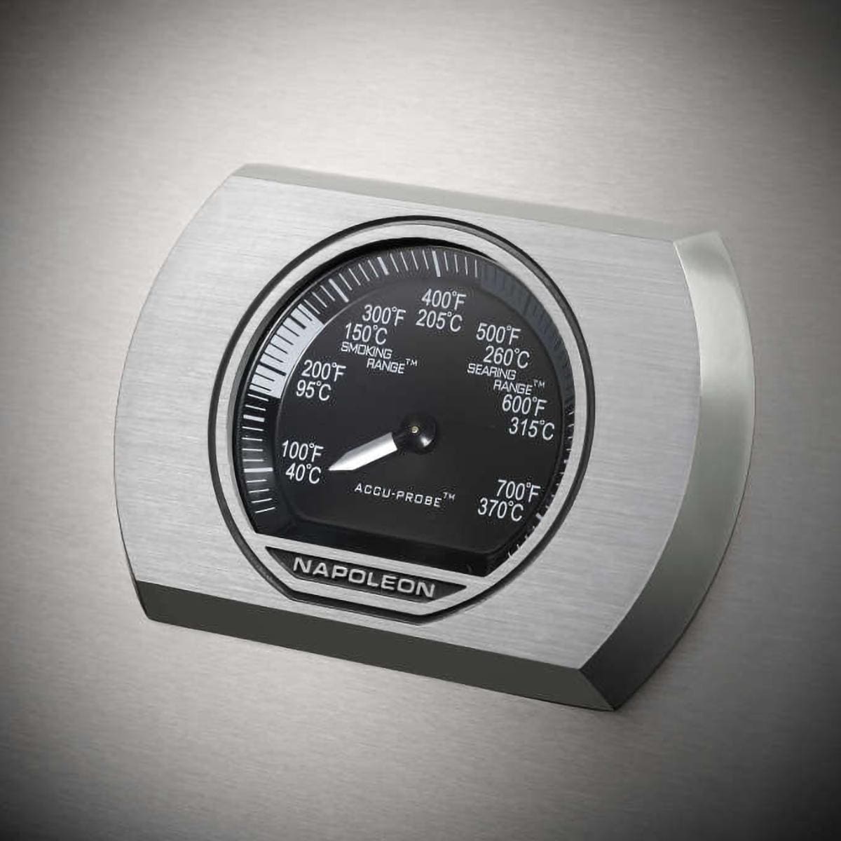 Napoleon RXT365SIBPSS1 Stainless Steel with Liquid Propane