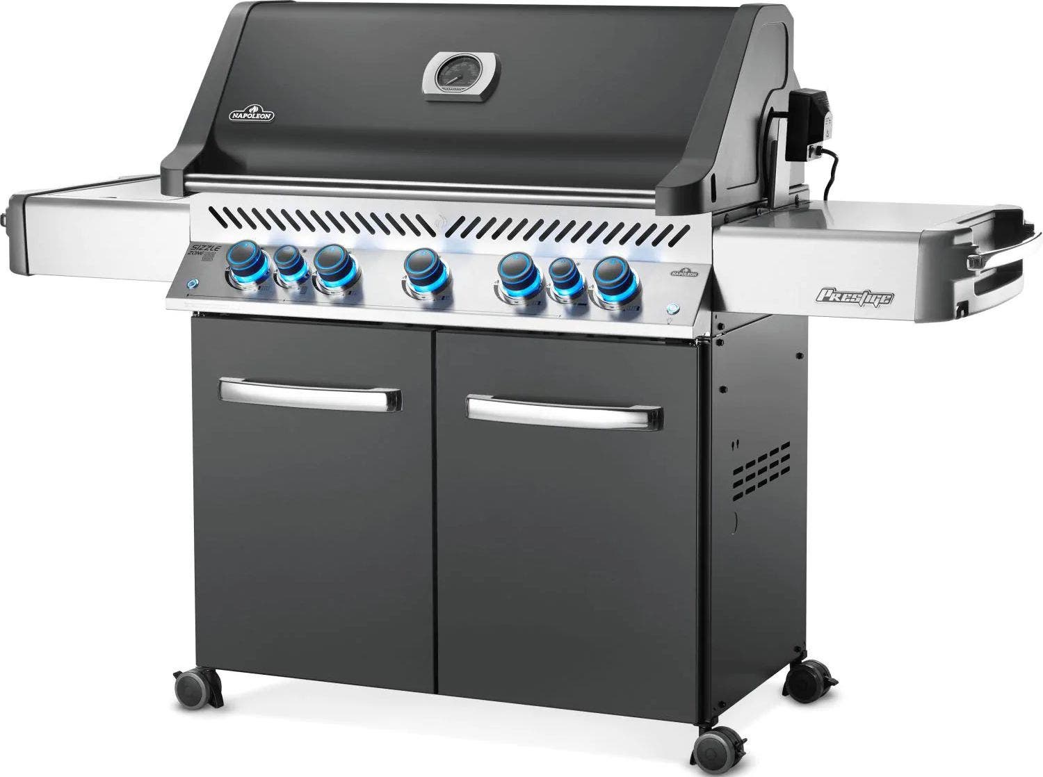 Napoleon P665RSIBNCH Gray with Natural Gas