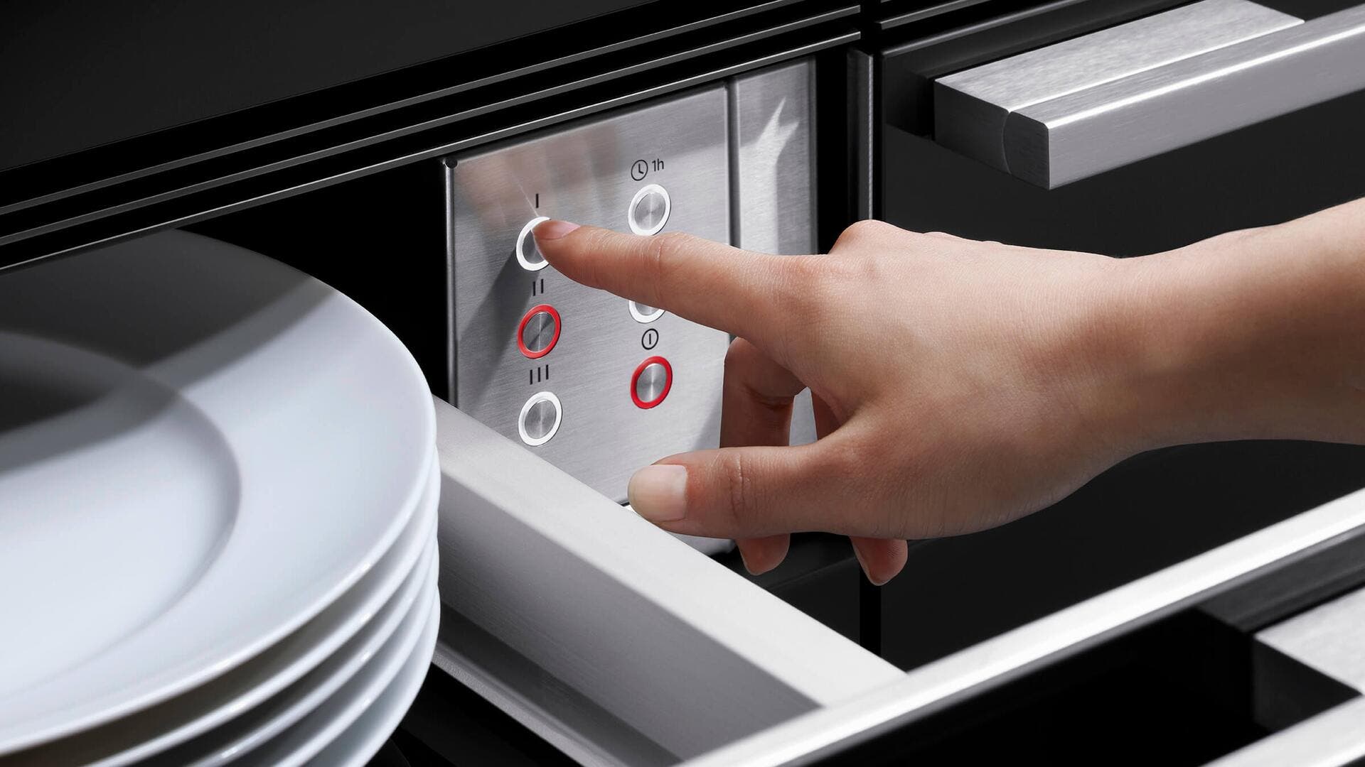Fisher Paykel WB24SDEB1 Black Glass