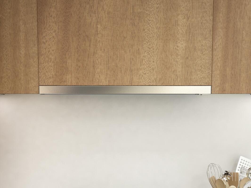 Zephyr ZPIE30AG290 Stainless Steel Trim with Glass, 290 CFM