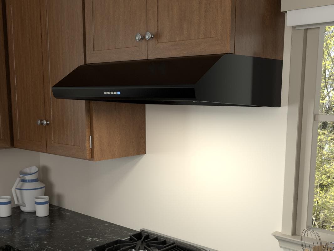 Zephyr AK2500CB Black, 695 CFM