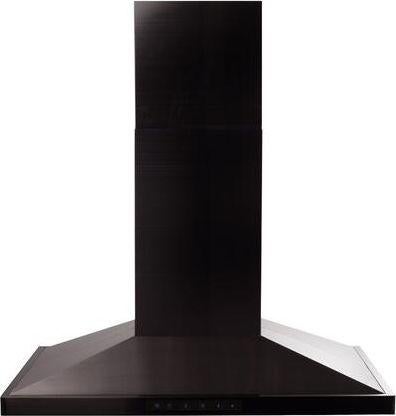 ZLINE 30-Inch Island Range Hood in Black Stainless Steel (BSGL2iN-30)