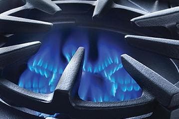 Bluestar RNB366BPMV2LCC Custom Color Match, Liquid Propane, Standard Trim