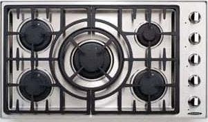 Capital Indoor MCT365GSL Stainless Steel, Liquid Propane