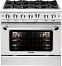 36 Inch Freestanding Gas Range with 6 Open Burners