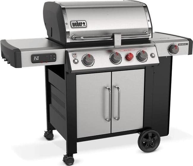 Weber 61006601 Stainless Steel, Liquid Propane