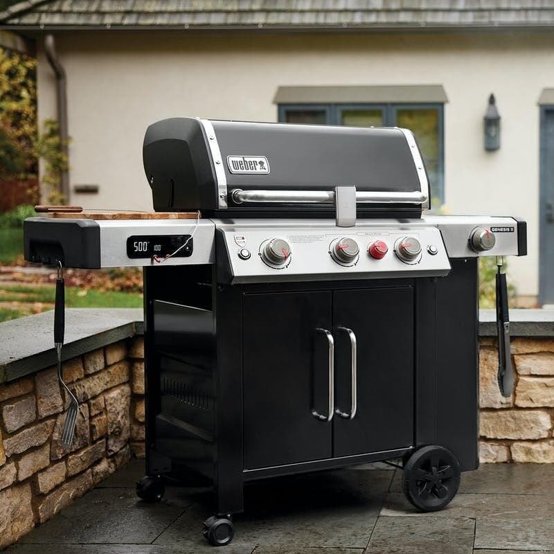 Weber 61016601 Black, Liquid Propane