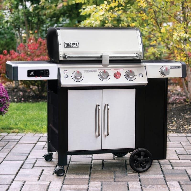 Weber 66006601 Stainless Steel, Natural Gas