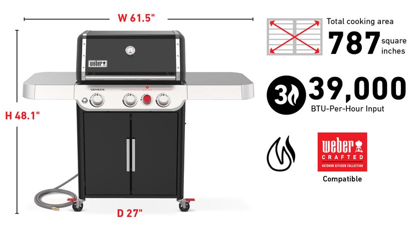 Weber 37310001