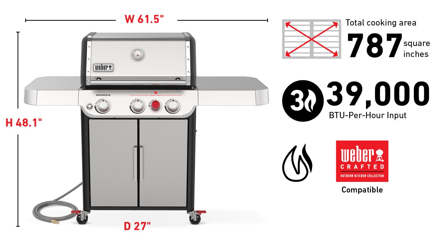 Weber 37300001 Natural Gas, Stainless Steel