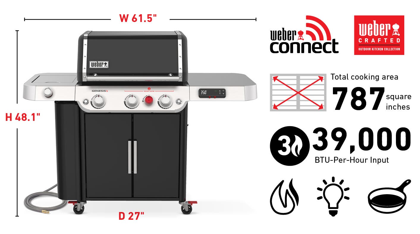 Weber 37610001 Natural Gas, Black