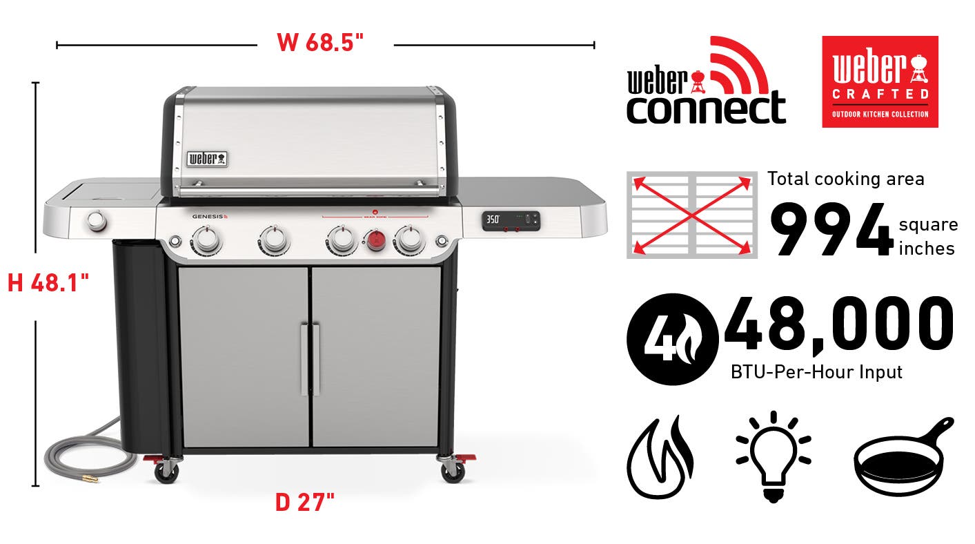 Weber 38800001 Natural Gas, Stainless Steel