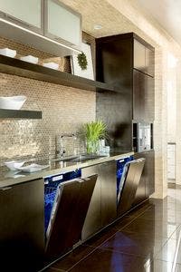 Thermador DWHD870WPR Panel Ready