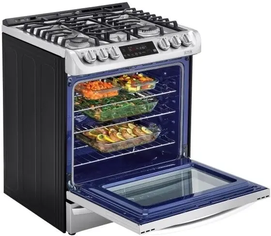 LG LSD4913ST Stainless Steel