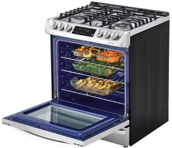 LG LSD4913ST Stainless Steel