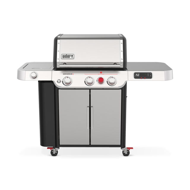 Weber 35600001