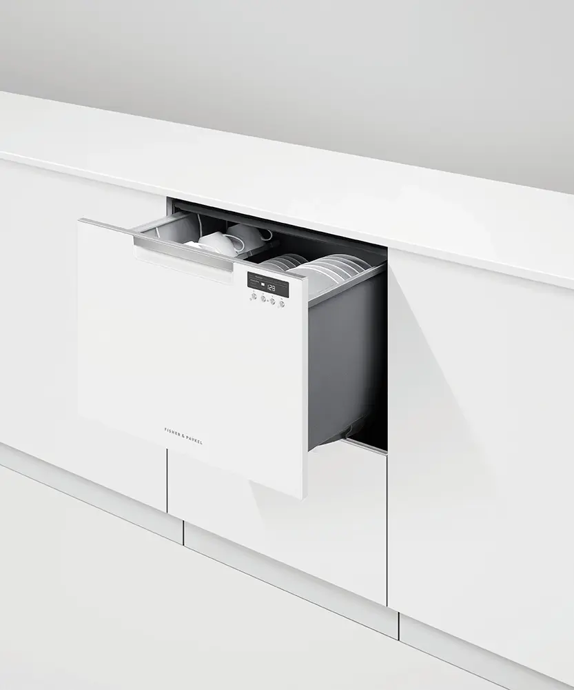 Fisher Paykel DD24DCTW9N White